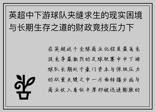 英超中下游球队夹缝求生的现实困境与长期生存之道的财政竞技压力下 英超中下游球队夹缝求生的现实困境与长期生存之道的财政竞技压力下