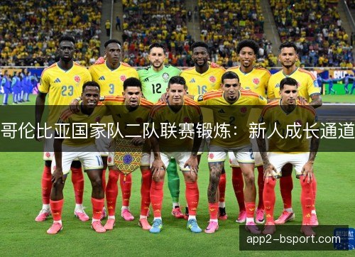 哥伦比亚国家队二队联赛锻炼：新人成长通道