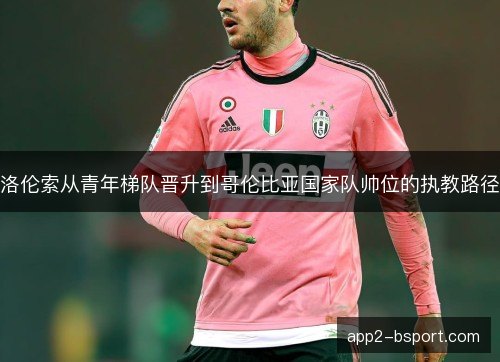 洛伦索从青年梯队晋升到哥伦比亚国家队帅位的执教路径